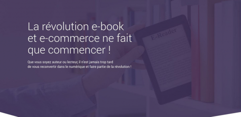 https://www.ebook-ecommerce.fr