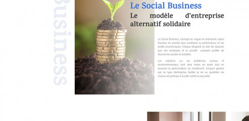 http://www.business-social.fr