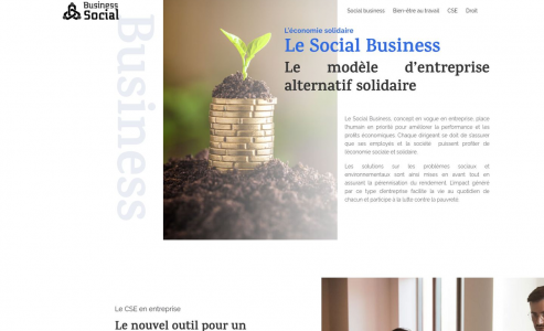http://www.business-social.fr