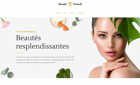 https://www.beaute-conseil.net